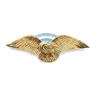 Brevet de Montaña dorado — Ejército Argentino — Multifuerzas Ponasso