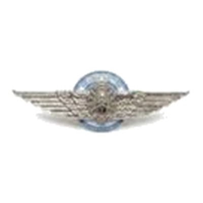 Brevet Aviador Militar níquel — Ejército Argentino — Multifuerzas Ponasso