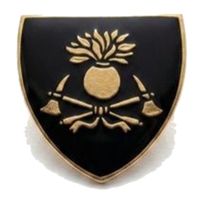 Distintivo boina Bomberos PBA — Multifuerzas Ponasso