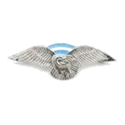 Brevet de Montaña plateado — Ejército Argentino — Multifuerzas Ponasso