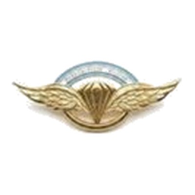 Brevet Paracaidista Militar dorado — Ejército Argentino — Multifuerzas Ponasso