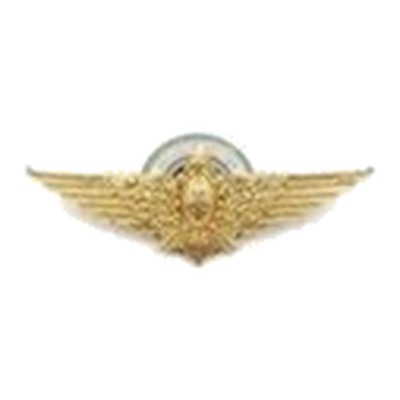Brevet Aviador Militar dorado — Ejército Argentino — Multifuerzas Ponasso