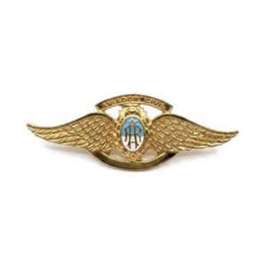 Brevet Aviador Civil — Ejército Argentino — Multifuerzas Ponasso
