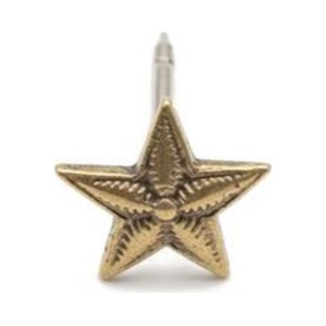 Estrella de antigüedad — Policía de la Provincia de Buenos Aires — Multifuerzas Ponasso